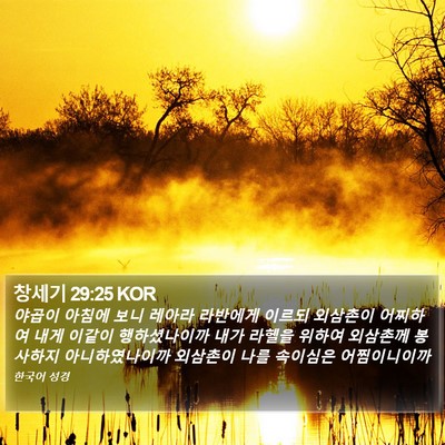 창세기 29:25 KOR Bible Verse Image