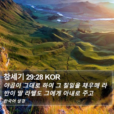 창세기 29:28 KOR Bible Verse Image
