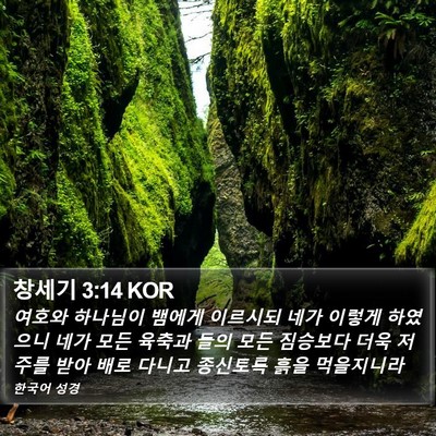 창세기 3:14 KOR Bible Verse Image