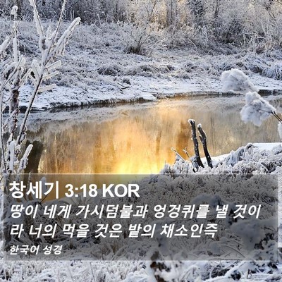 창세기 3:18 KOR Bible Verse Image
