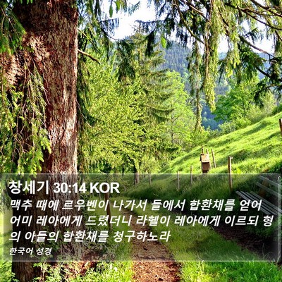 창세기 30:14 KOR Bible Verse Image