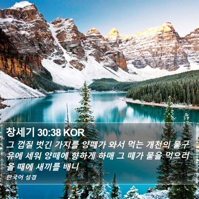 창세기 30:38 KOR Bible Verse Image