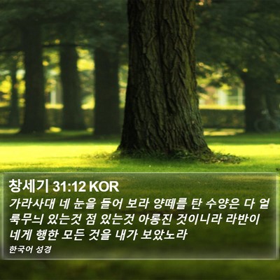 창세기 31:12 KOR Bible Verse Image