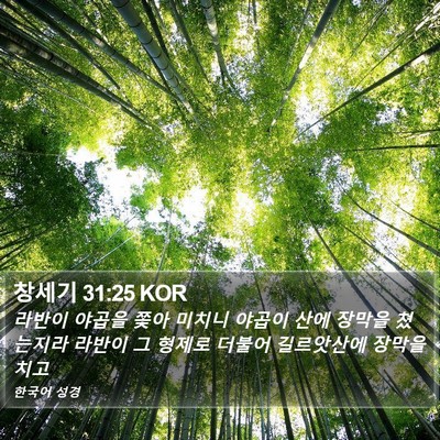 창세기 31:25 KOR Bible Verse Image