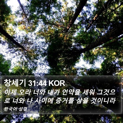 창세기 31:44 KOR Bible Verse Image