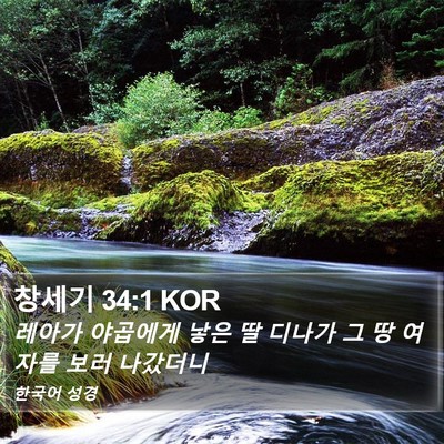 창세기 34:1 KOR Bible Verse Image