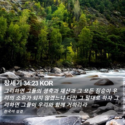창세기 34:23 KOR Bible Verse Image