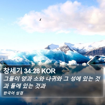창세기 34:28 KOR Bible Verse Image
