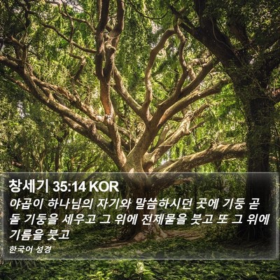 창세기 35:14 KOR Bible Verse Image