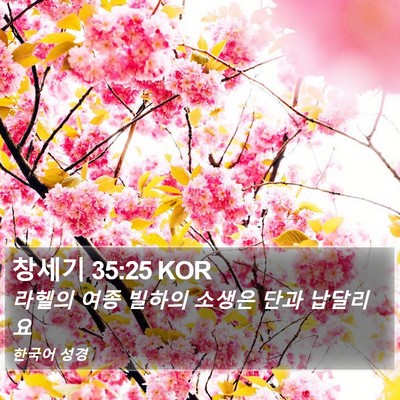 창세기 35:25 KOR Bible Verse Image