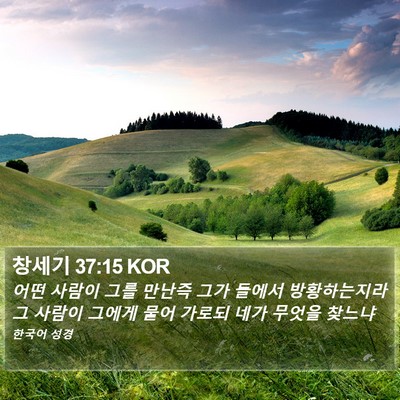 창세기 37:15 KOR Bible Verse Image