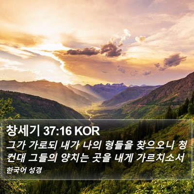 창세기 37:16 KOR Bible Verse Image