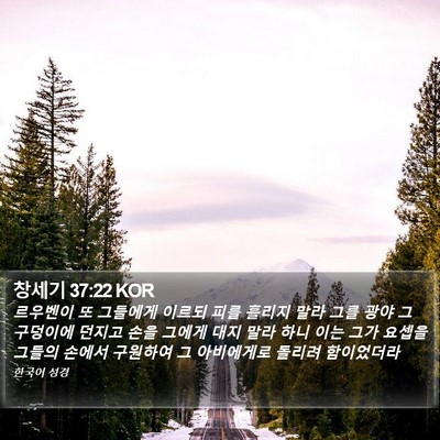 창세기 37:22 KOR Bible Verse Image