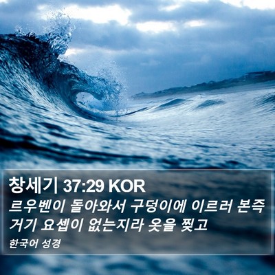 창세기 37:29 KOR Bible Verse Image