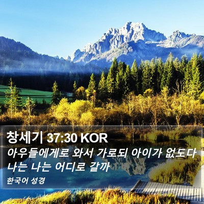 창세기 37:30 KOR Bible Verse Image
