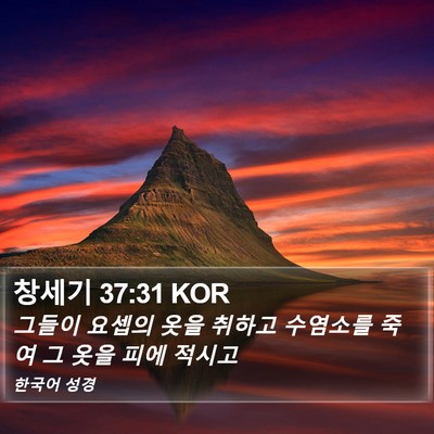 창세기 37:31 KOR Bible Verse Image