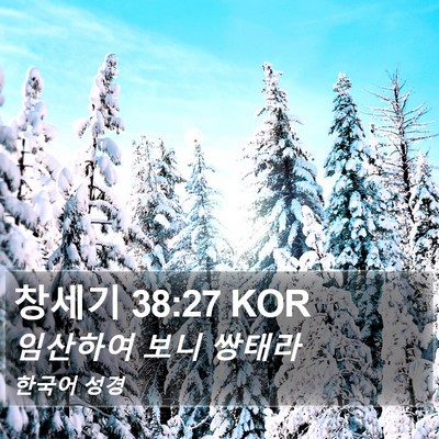 창세기 38:27 KOR Bible Verse Image
