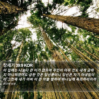 창세기 39:9 KOR Bible Verse Image