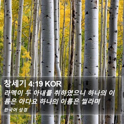 창세기 4:19 KOR Bible Verse Image