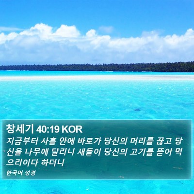창세기 40:19 KOR Bible Verse Image