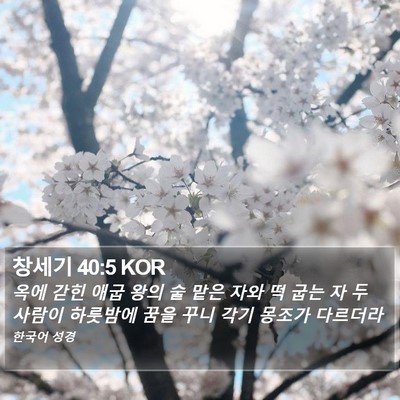 창세기 40:5 KOR Bible Verse Image