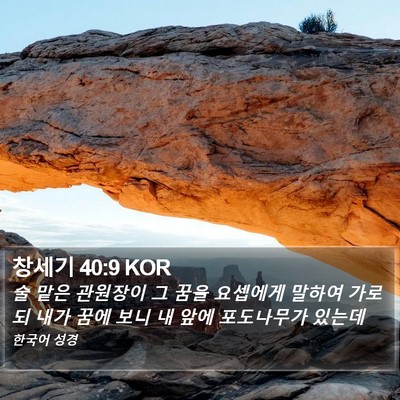 창세기 40:9 KOR Bible Verse Image