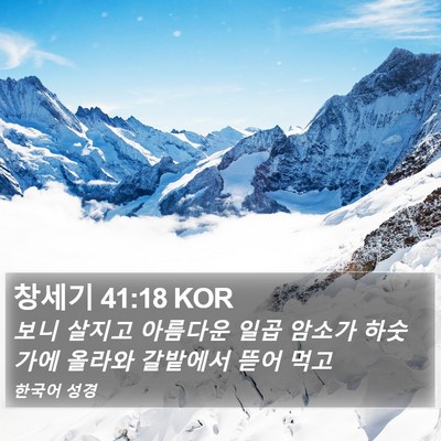 창세기 41:18 KOR Bible Verse Image