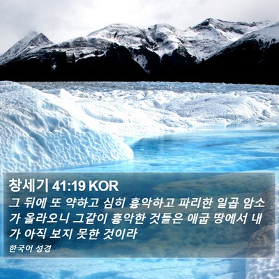 창세기 41:19 KOR Bible Verse Image