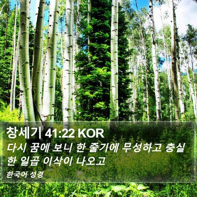창세기 41:22 KOR Bible Verse Image