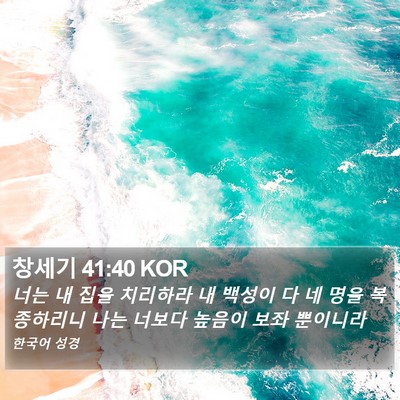 창세기 41:40 KOR Bible Verse Image