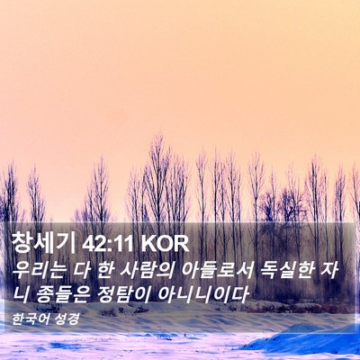 창세기 42:11 KOR Bible Verse Image