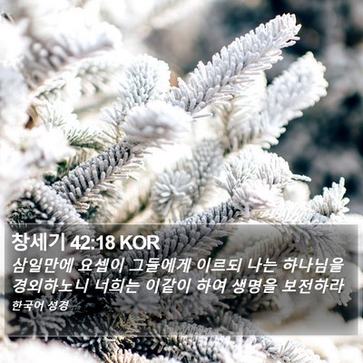 창세기 42:18 KOR Bible Verse Image