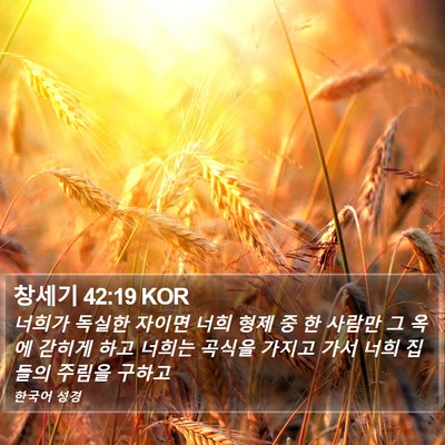 창세기 42:19 KOR Bible Verse Image