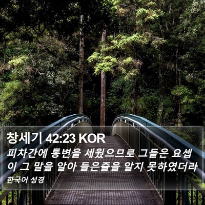 창세기 42:23 KOR Bible Verse Image