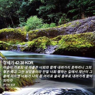 창세기 42:38 KOR Bible Verse Image