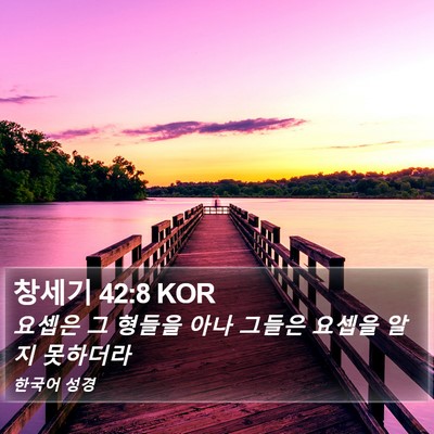 창세기 42:8 KOR Bible Verse Image