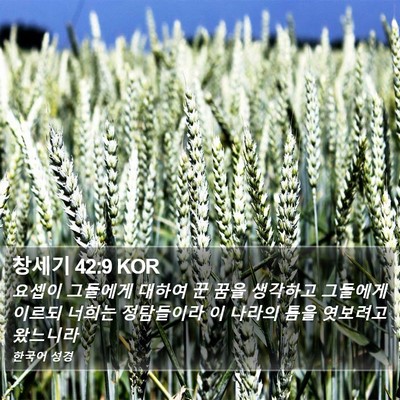 창세기 42:9 KOR Bible Verse Image