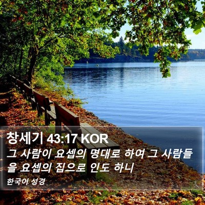 창세기 43:17 KOR Bible Verse Image