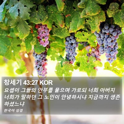 창세기 43:27 KOR Bible Verse Image