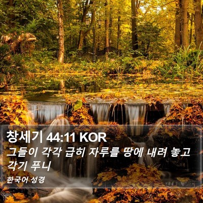 창세기 44:11 KOR Bible Verse Image