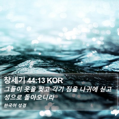 창세기 44:13 KOR Bible Verse Image
