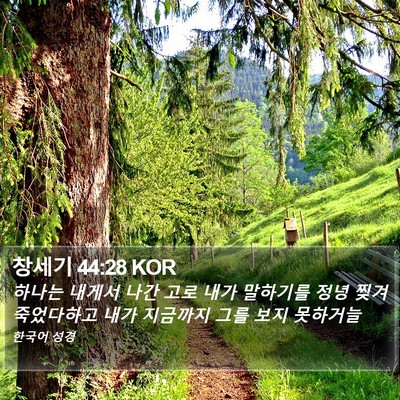 창세기 44:28 KOR Bible Verse Image