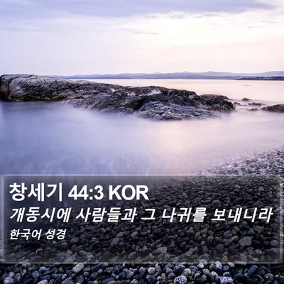 창세기 44:3 KOR Bible Verse Image