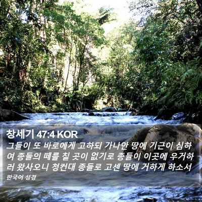 창세기 47:4 KOR Bible Verse Image