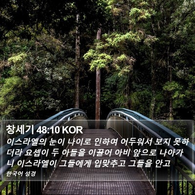 창세기 48:10 KOR Bible Verse Image