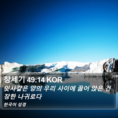 창세기 49:14 KOR Bible Verse Image