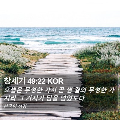 창세기 49:22 KOR Bible Verse Image