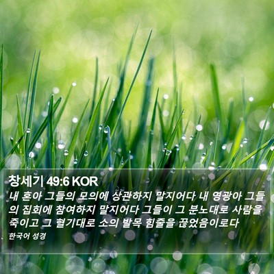 창세기 49:6 KOR Bible Verse Image