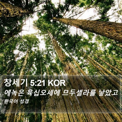 창세기 5:21 KOR Bible Verse Image
