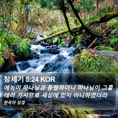 창세기 5:24 KOR Bible Verse Image